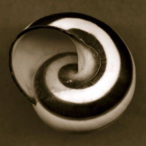THE ETERNA